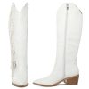 Cowgirl Fringe Boots For Women White Tassels Cowboy Boots Knee High Pointed Toe Western Boots