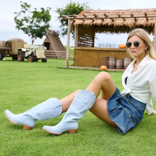 Women Cowboy Boots Faux Suede Embroidered Pointed Thick Heeled Western Wide Calf Cowgirl Ponited Toe Mid Calf Boots
